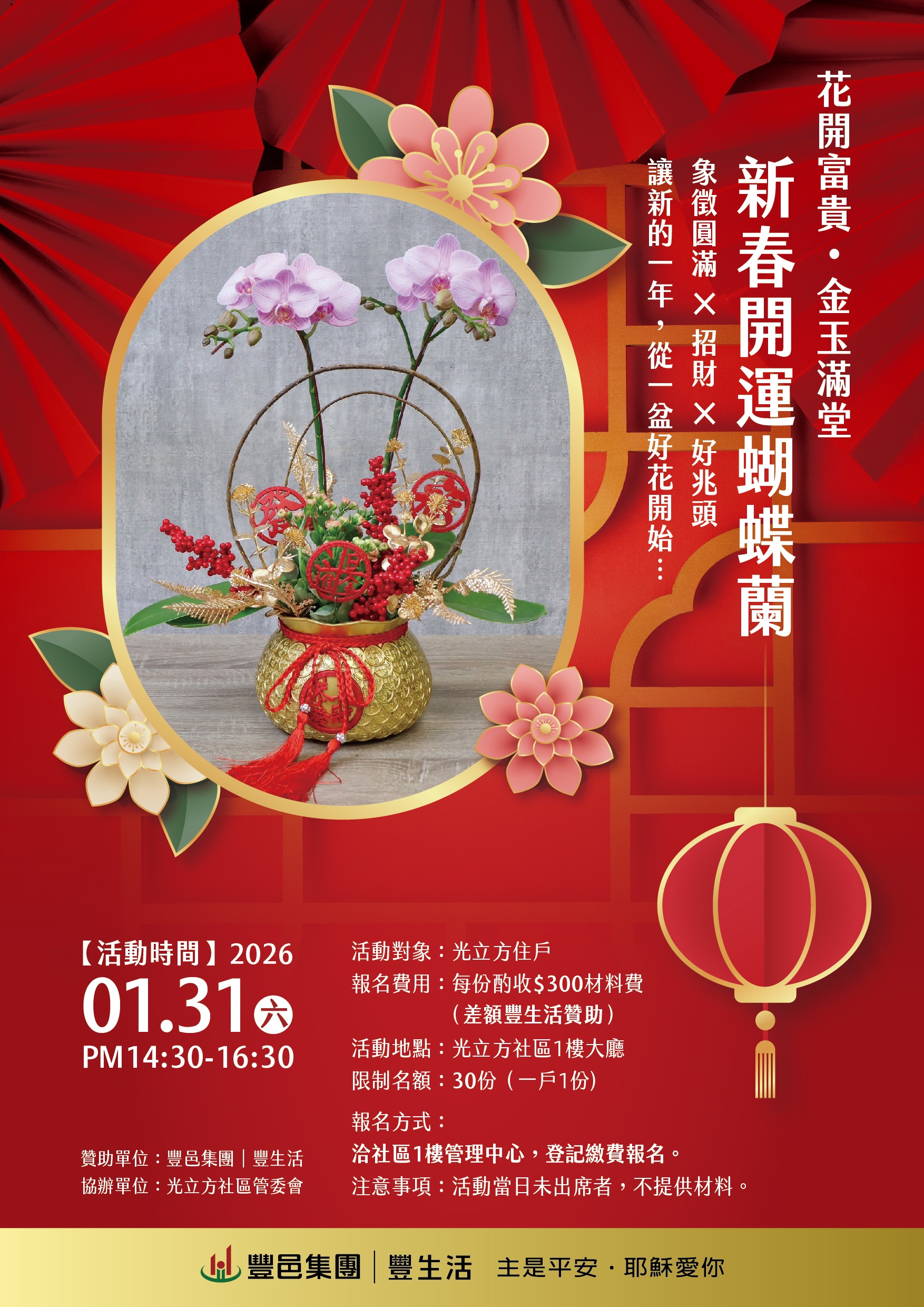 光立方 新春蝴蝶蘭